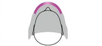 speedglas gebogen